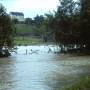 foto_0143_hochwasser_03061961_2.jpg