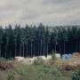 foto_0129_campingplatz_1964.jpg